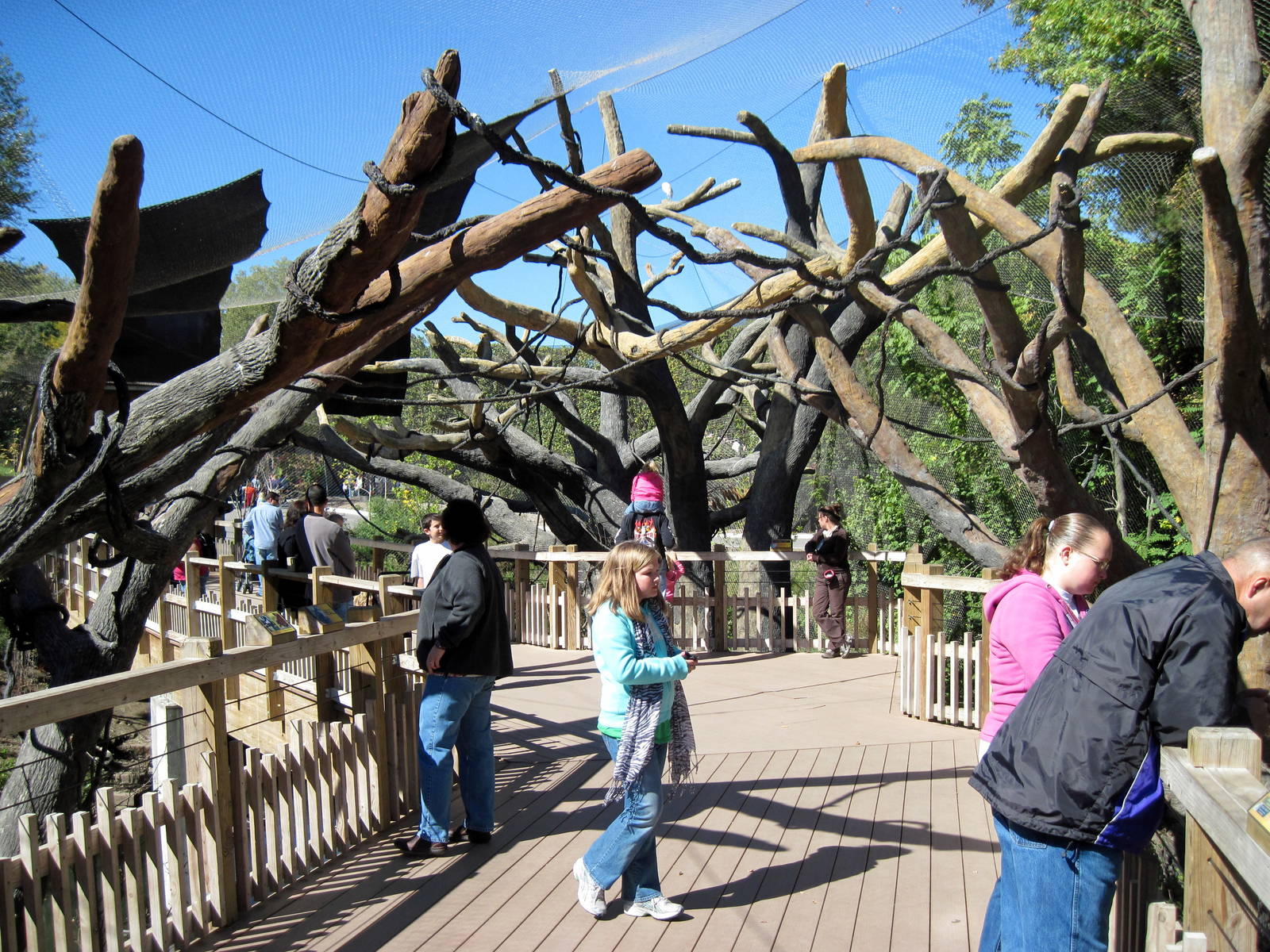 Expedition Madagascar-Black and White and Red Ruffed Lemur Exhibit