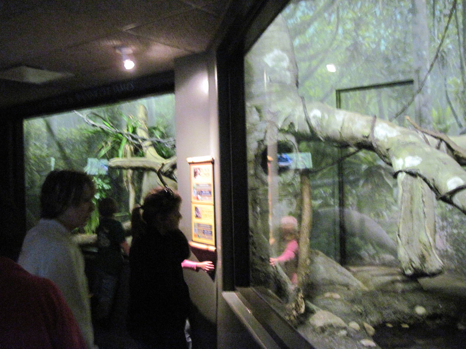 Expedition Madagascar-Black Lemur/Big Headed Turtle Exhibit