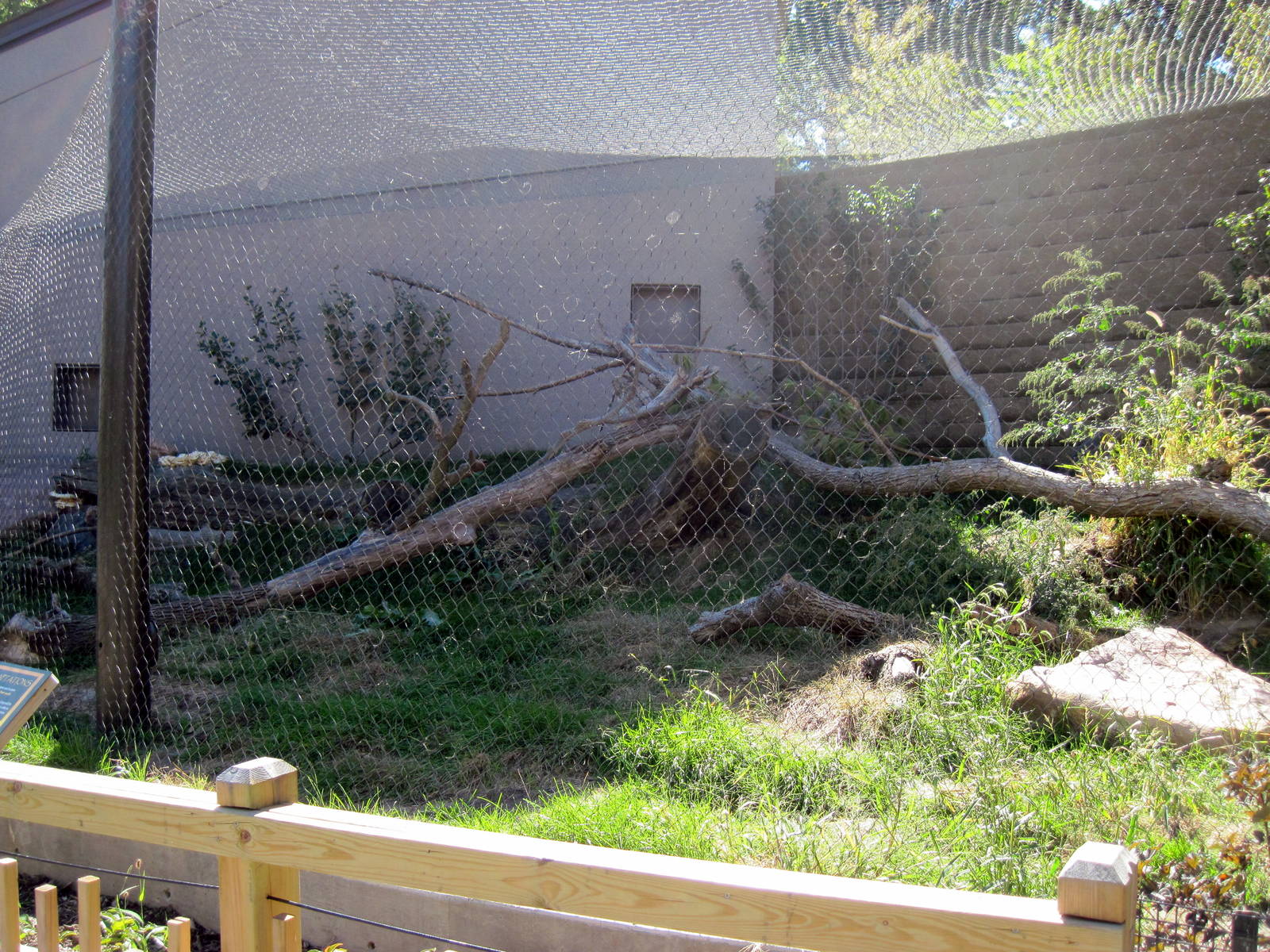 Expedition Madagascar-Fossa Exhibit