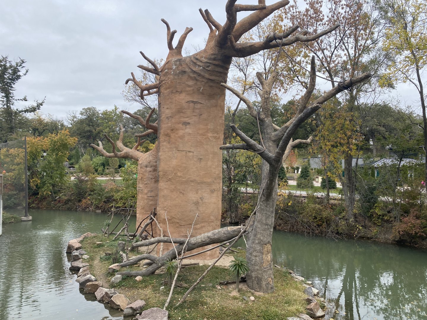Expedition Madagascar - Outdoor Ring-Tailed Lemur Exhibit