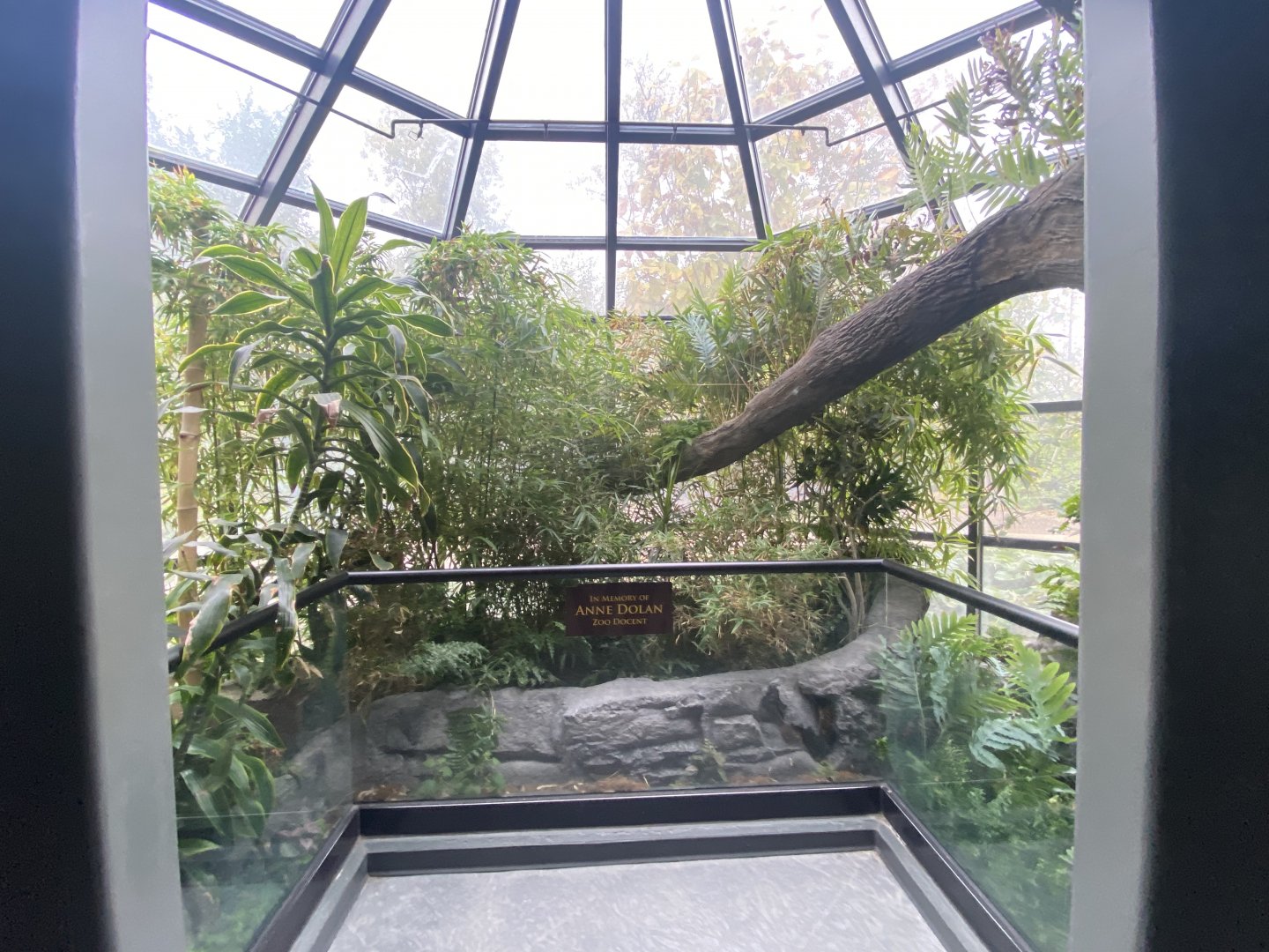 Expedition Madagascar -  Plant Atrium