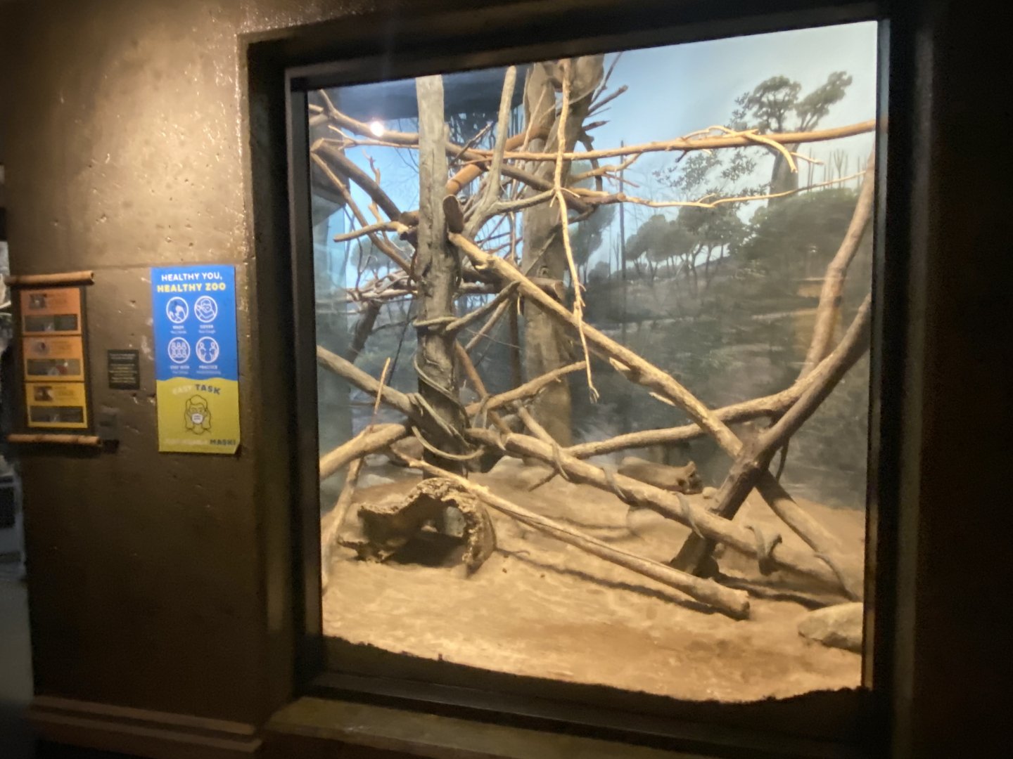 Expedition Madagascar - Ring-tailed Lemur/Common Brown Lemur/Mongoose Lemur/Radiated Tortoise Exhibit