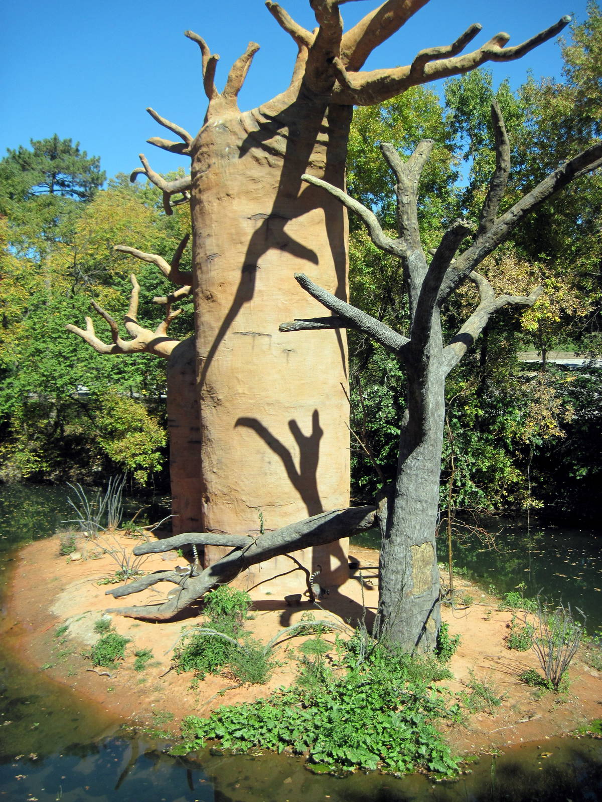 Expedition Madagascar-Ring-tailed Lemur Exhibit