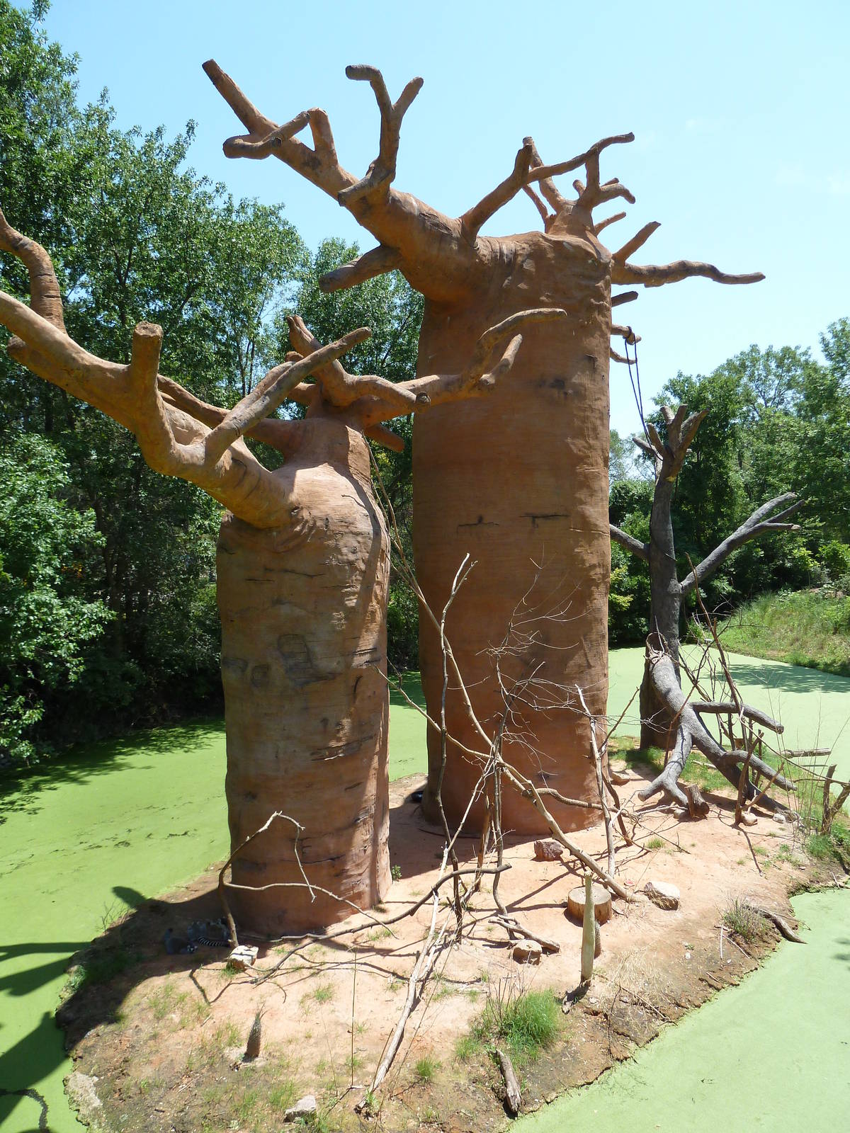 Expedition Madagascar - Ring-Tailed Lemur Exhibit