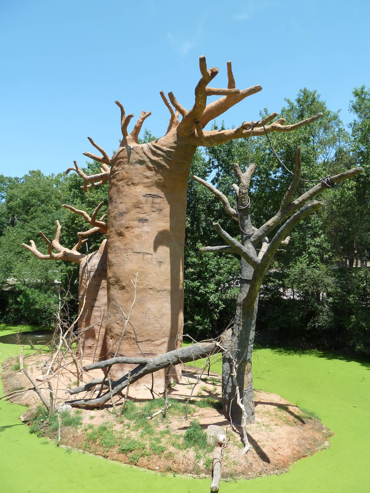 Expedition Madagascar - Ring-Tailed Lemur Exhibit