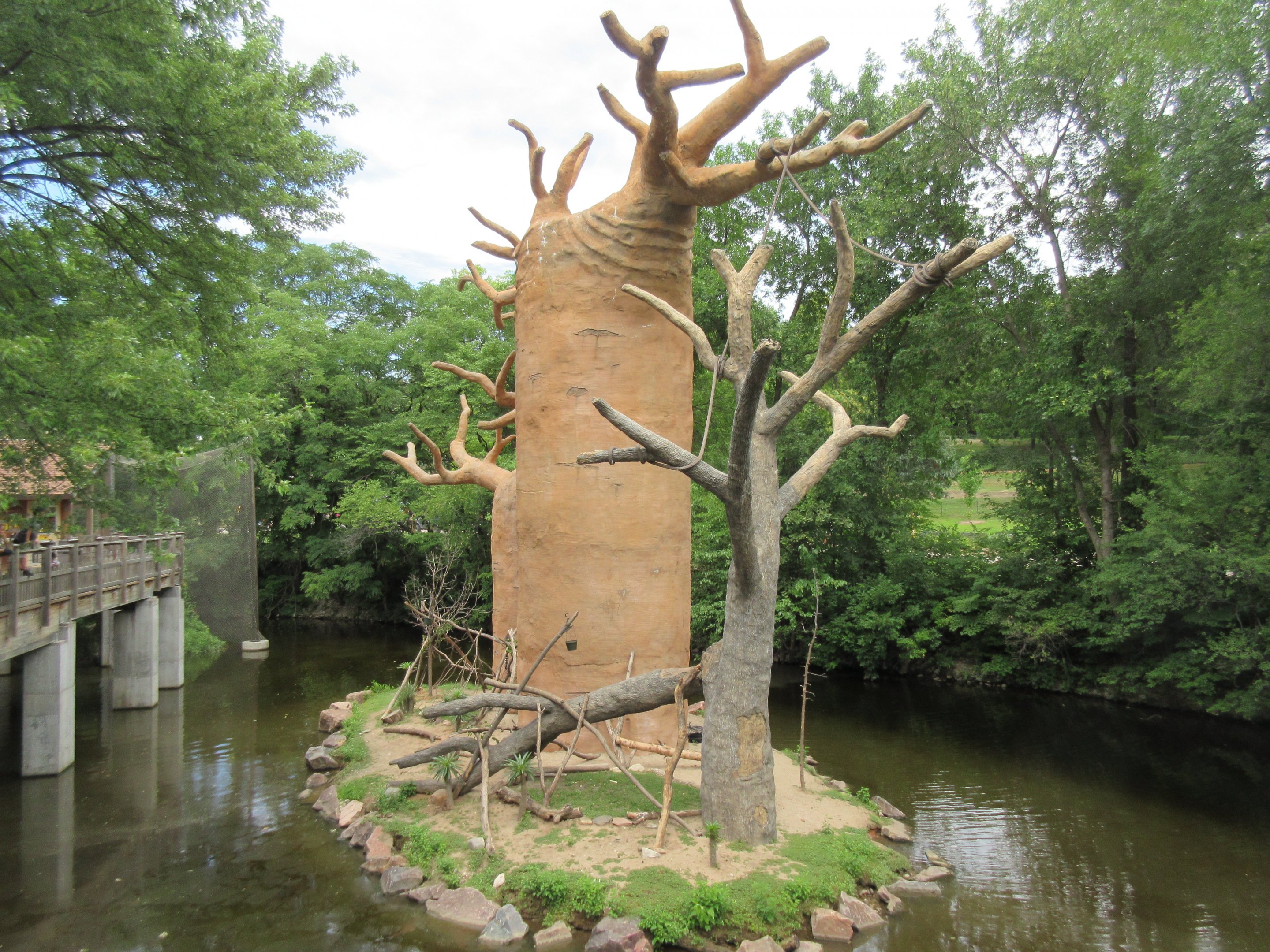Expedition Madagascar - Ring-tailed Lemur Exhibit