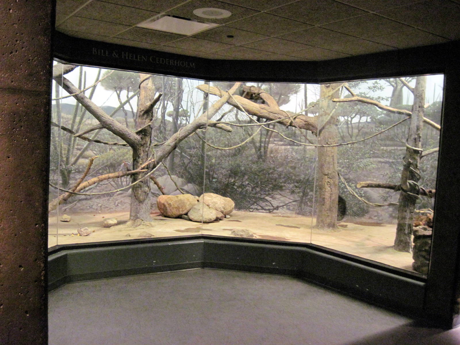 Expedition Madagascar-Ring-tailed Lemur/Radiated Tortoise Exhibit