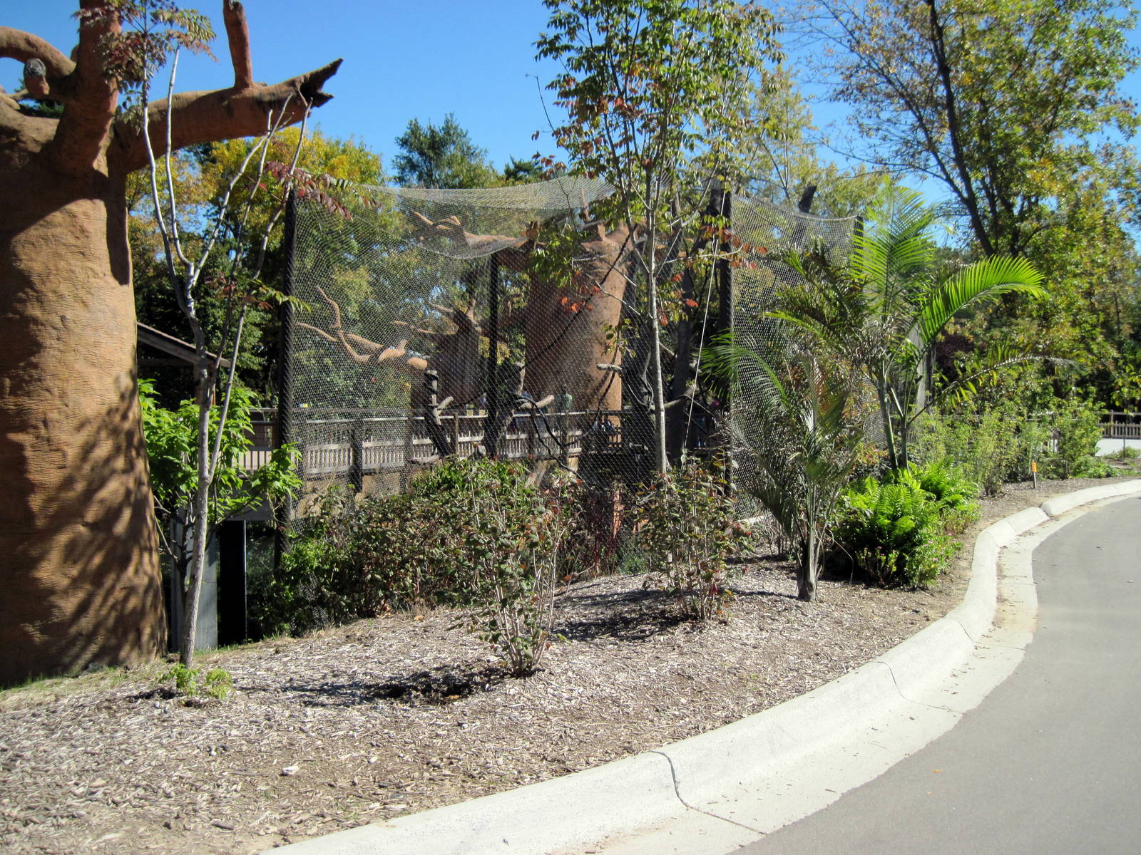 Expedition Madagascar-Sifaka Exhibit