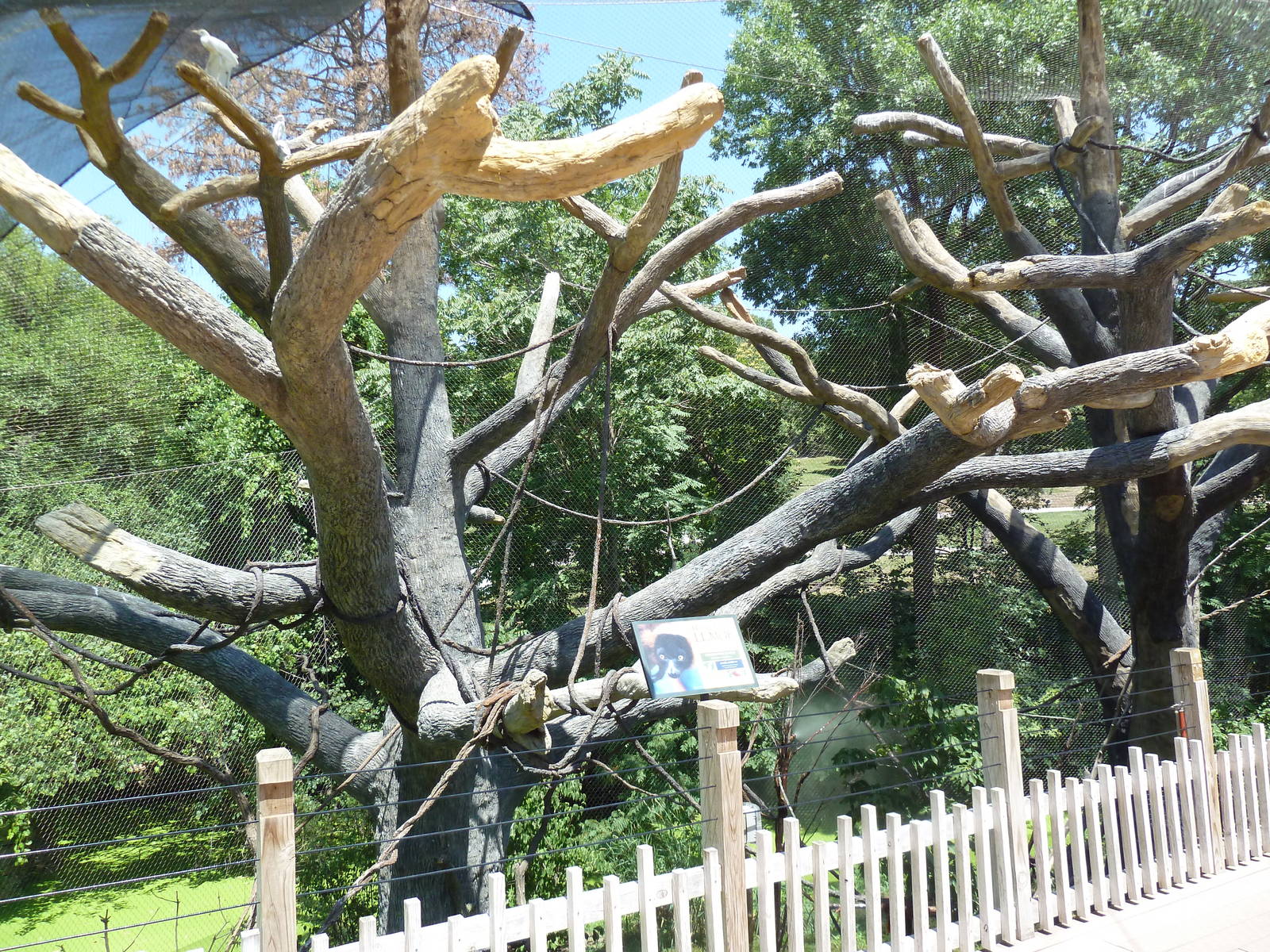 Expedition Madagascar - Walk-Through Lemur Exhibit