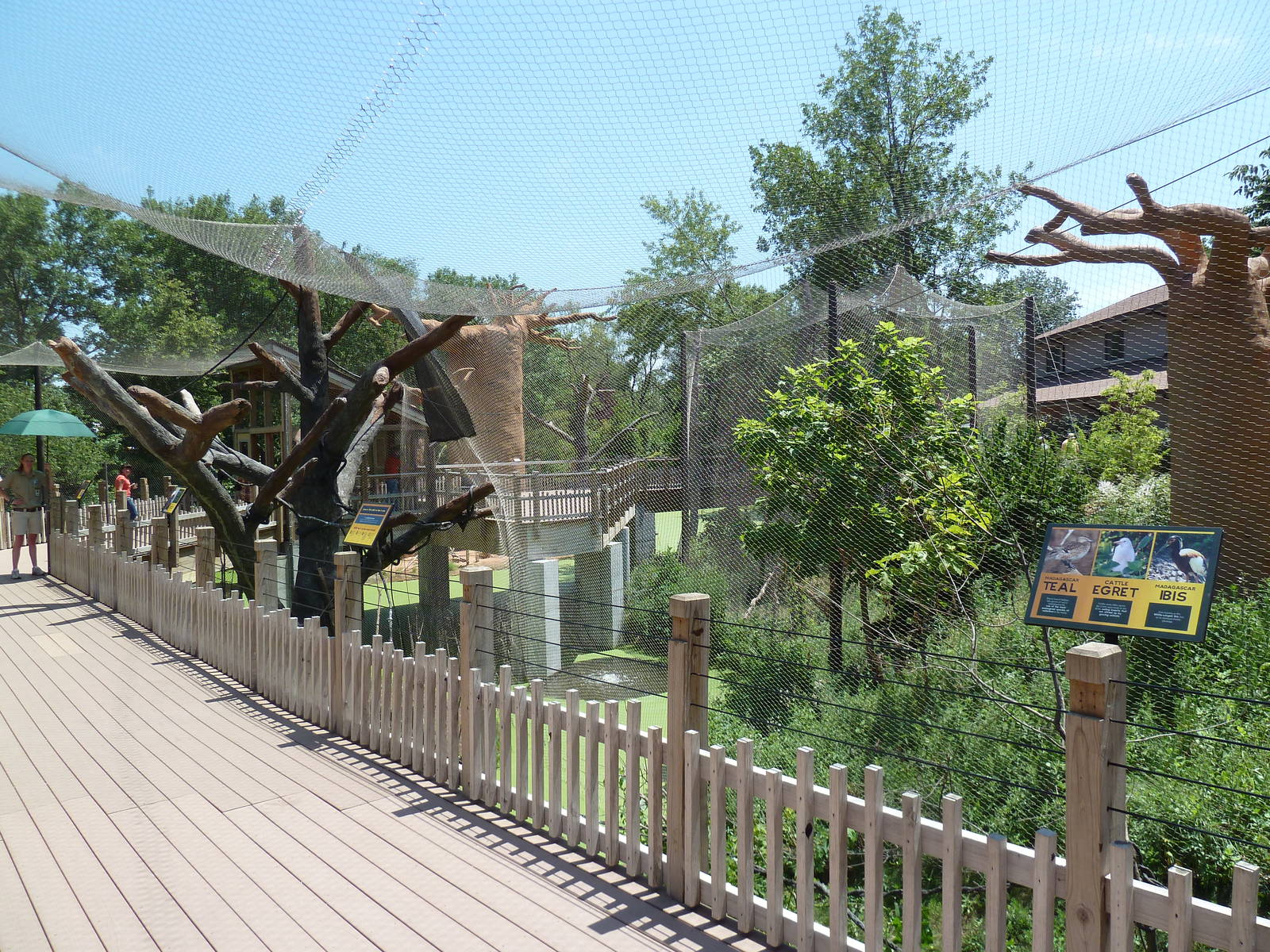 Expedition Madagascar - Walk-Through Lemur Exhibit