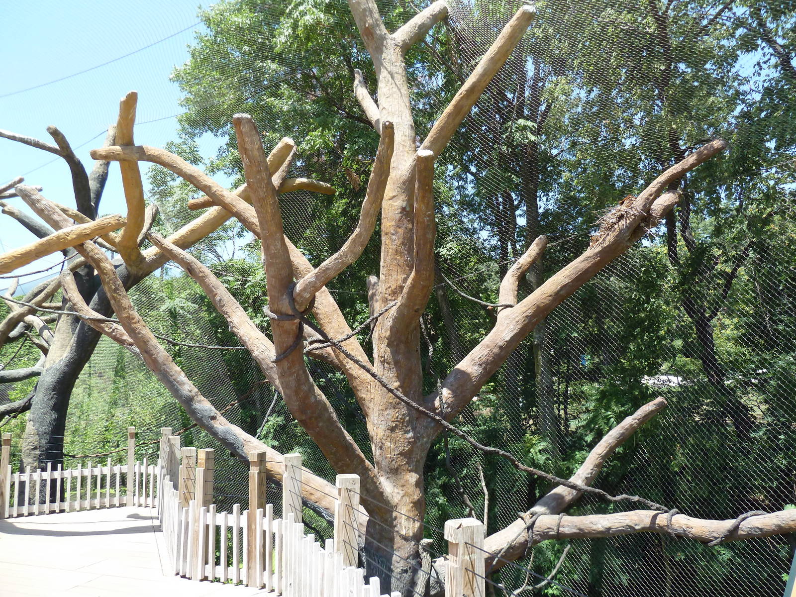 Expedition Madagascar - Walk-Through Lemur Exhibit