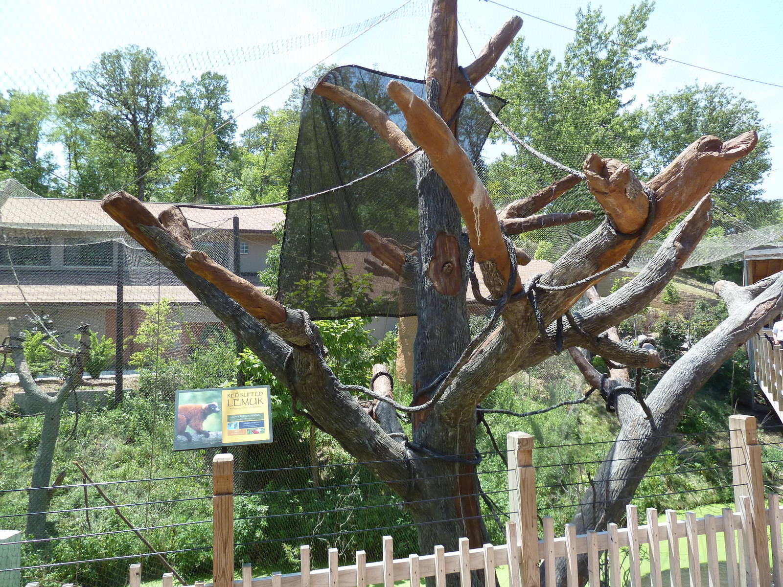 Expedition Madagascar - Walk-Through Lemur Exhibit