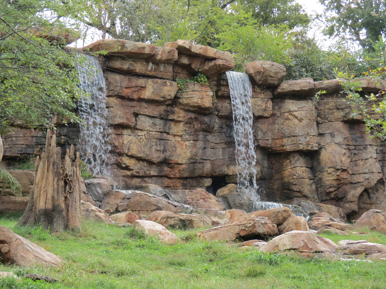 Expedition Peru - Andean Bear Exhibit