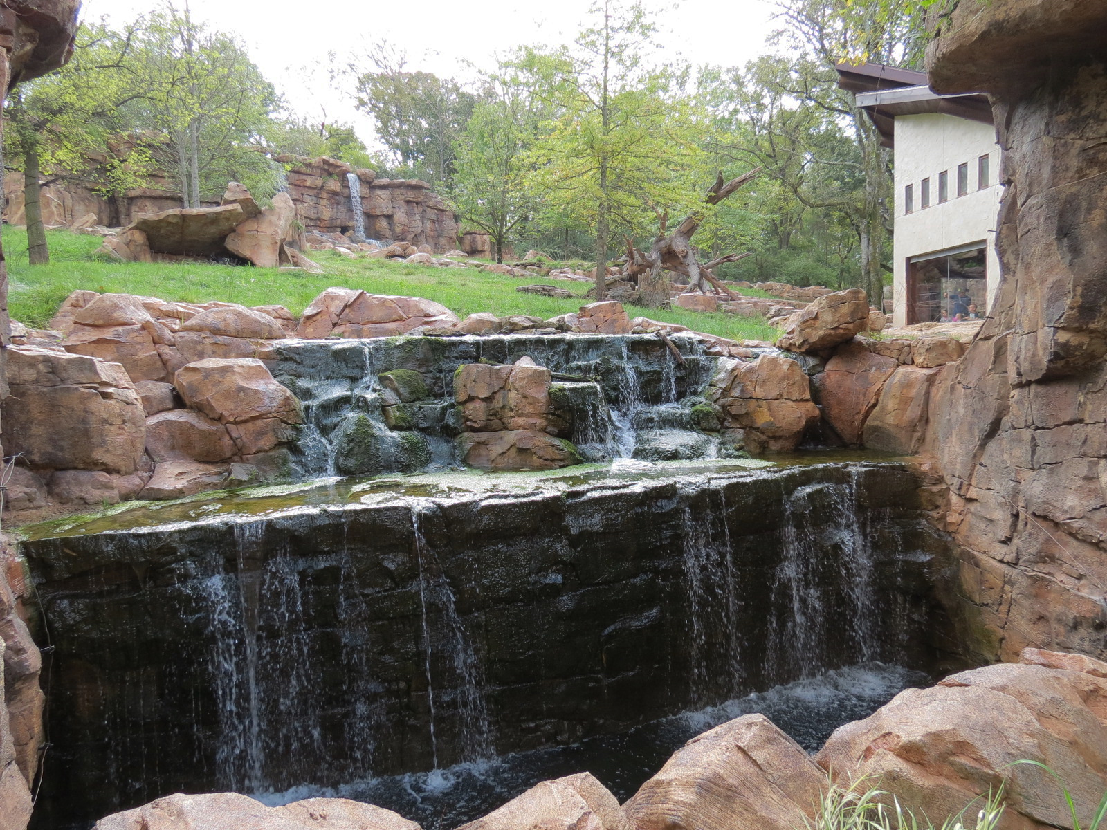 Expedition Peru - Andean Bear Exhibit