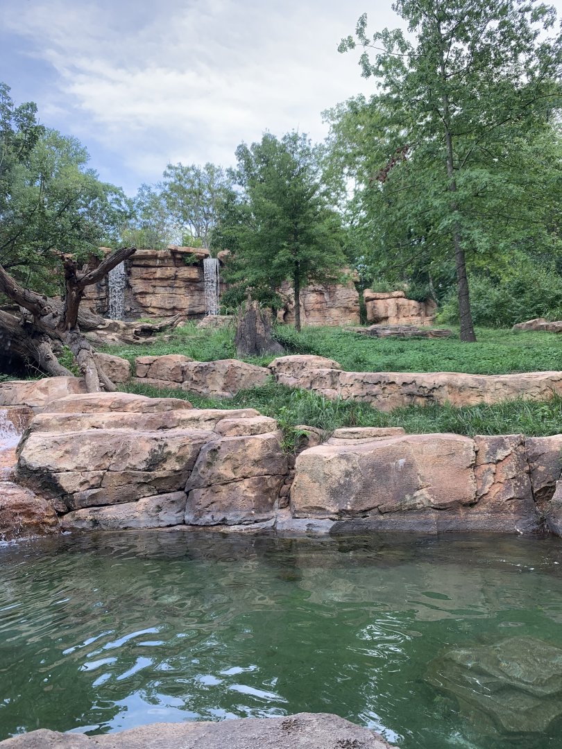Expedition Peru: Andean Bear Exhibit