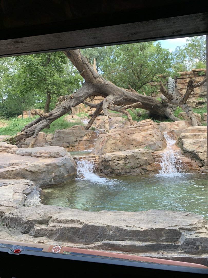 Expedition Peru: Andean Bear Exhibit