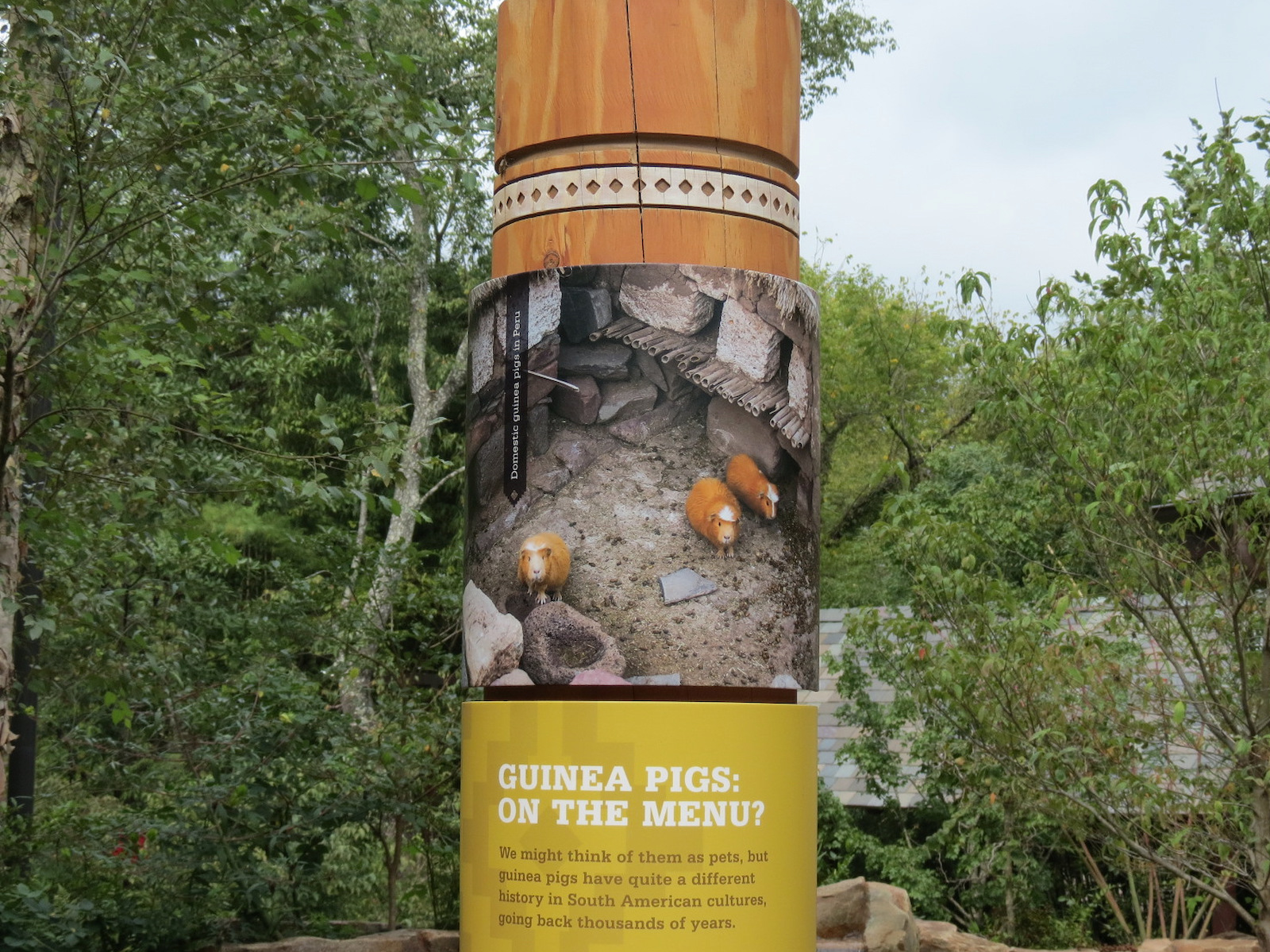 Expedition Peru - Guinea Pig Exhibit