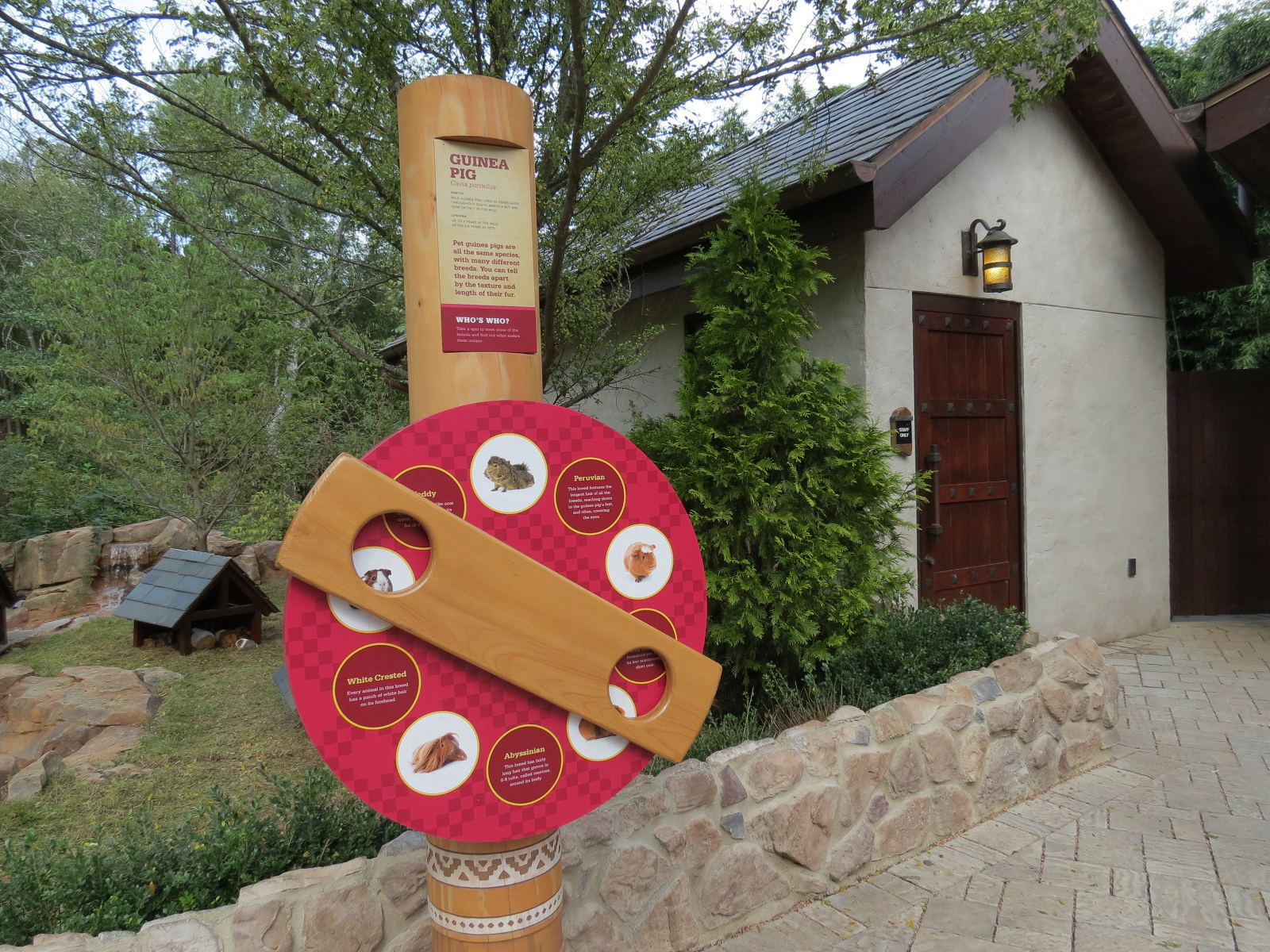 Expedition Peru - Guinea Pig Exhibit
