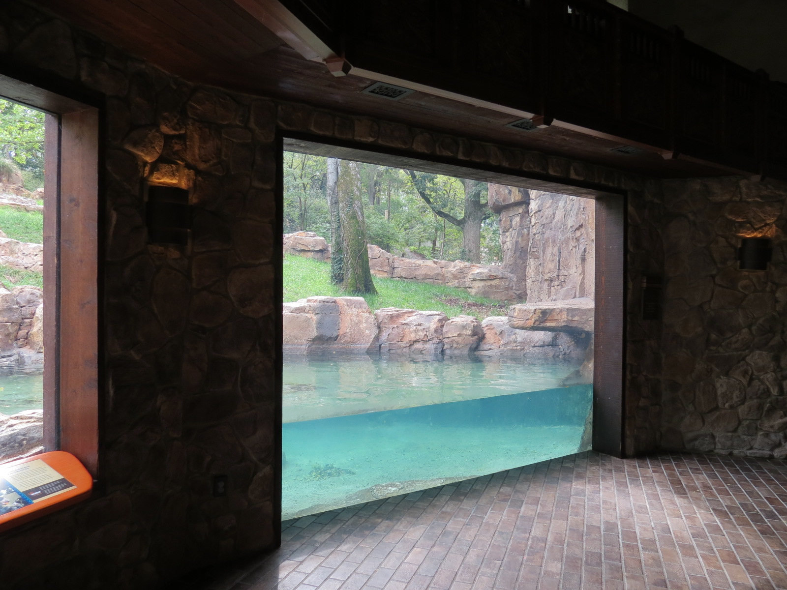 Expedition Peru - Lodge Interior - Andean Bear Exhibit Viewing Window