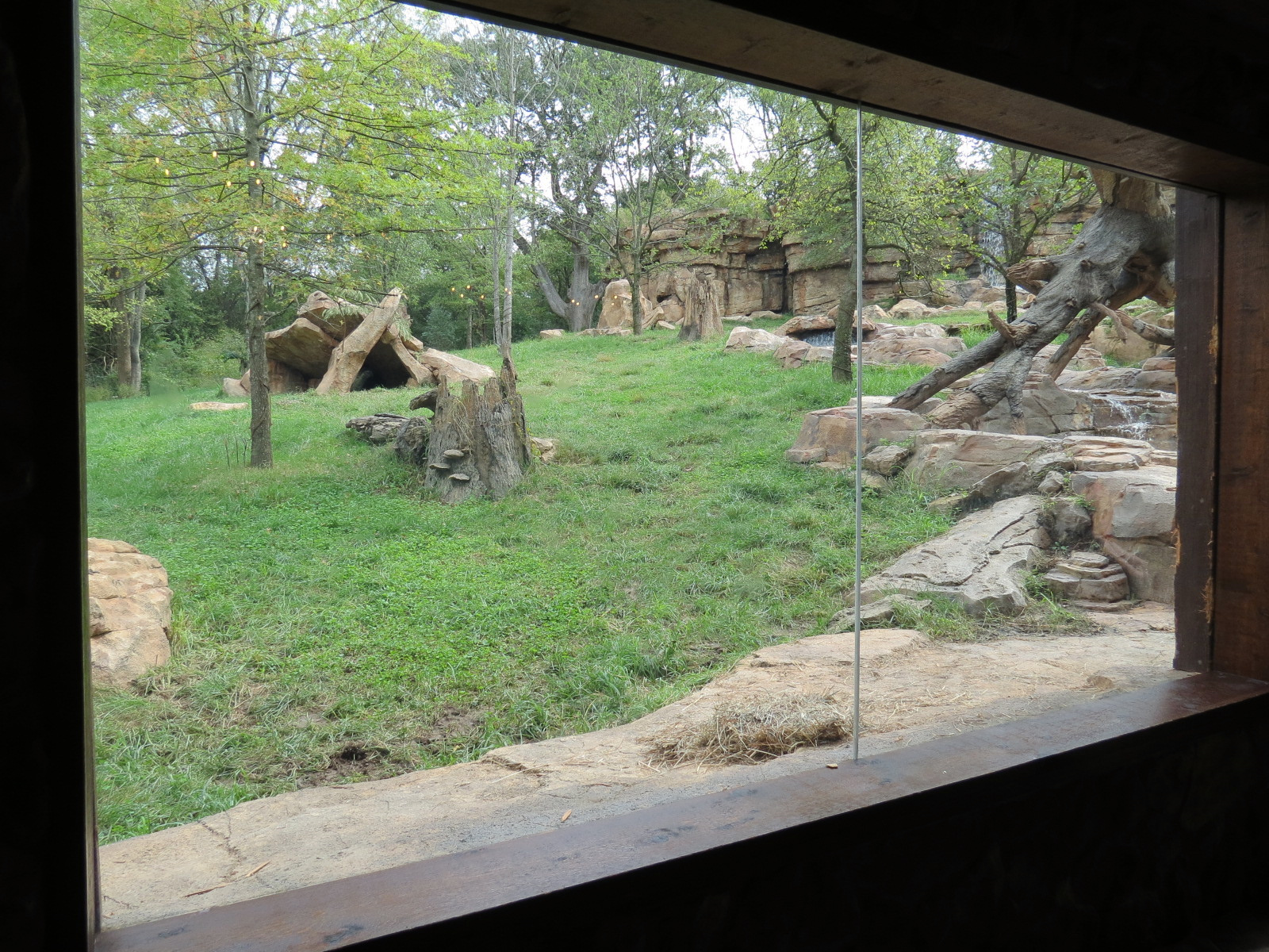 Expedition Peru - Lodge Interior - Andean Bear Exhibit Viewing Window