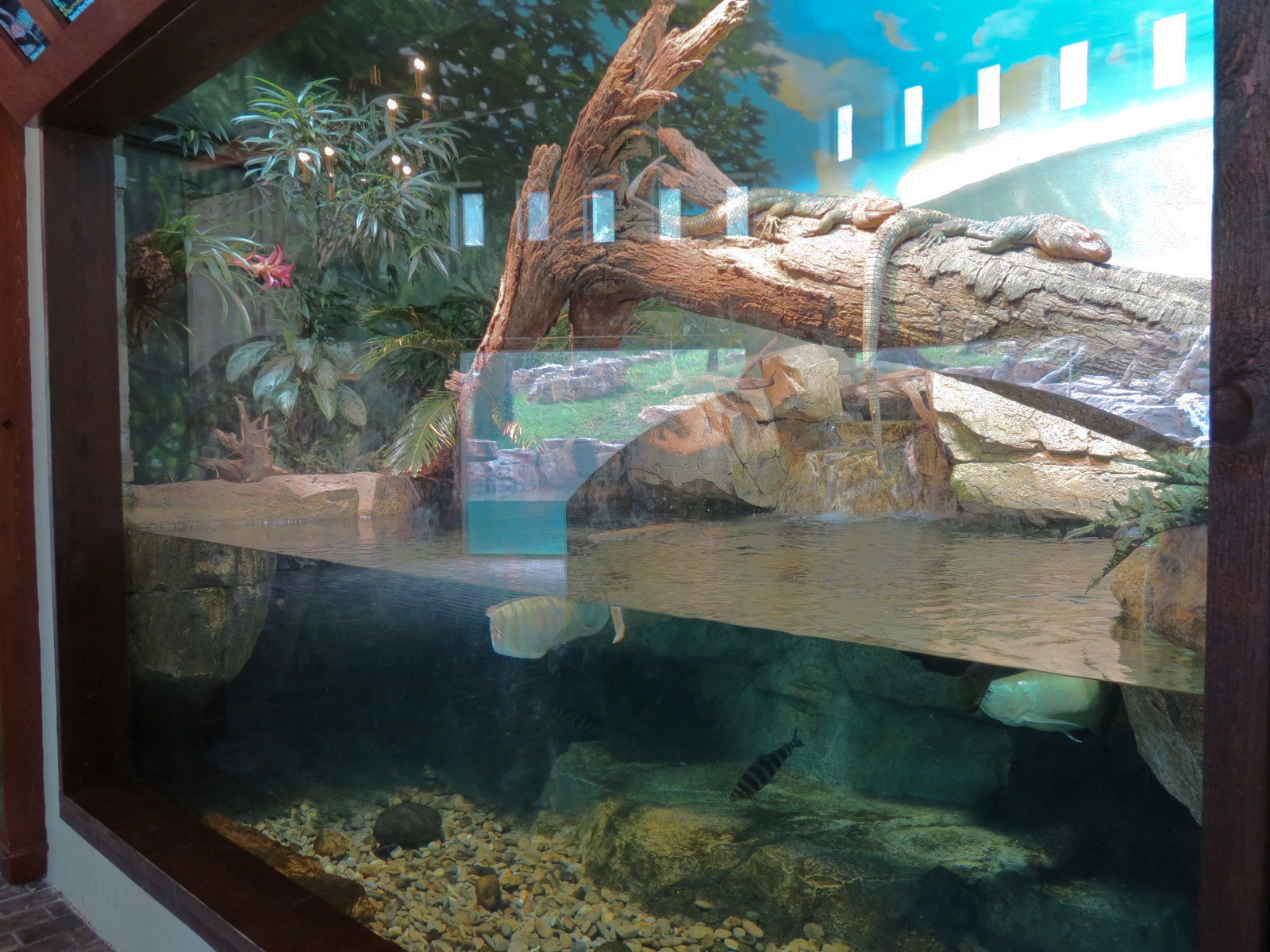 Expedition Peru - Lodge Interior - Reptile and Fish Exhibit