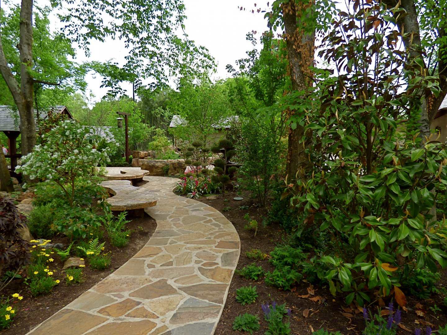 Expedition Peru - May 2018