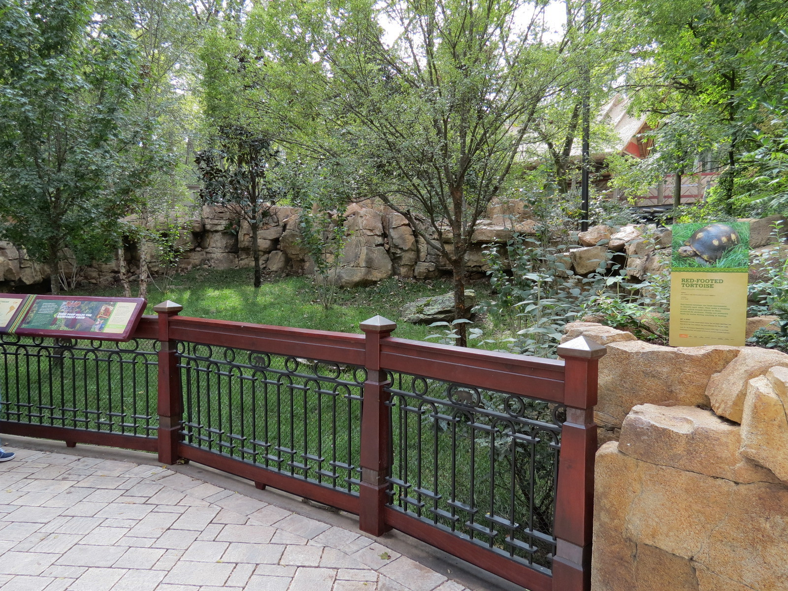 Expedition Peru - Red-footed Tortoise and Southern Pudu Exhibit