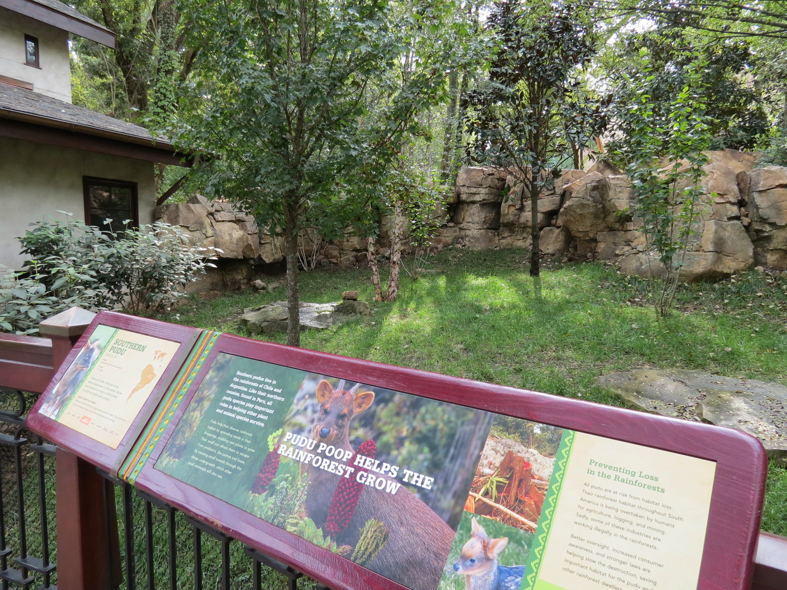 Expedition Peru - Red-footed Tortoise and Southern Pudu Exhibit