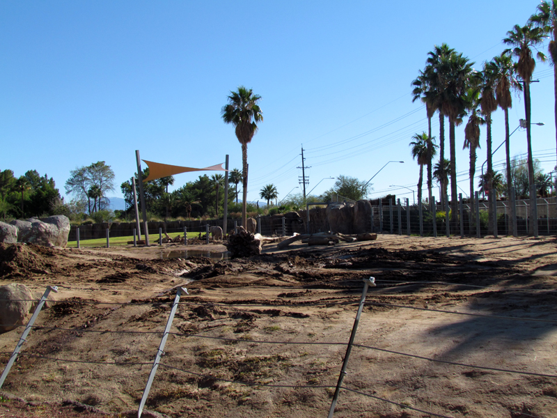 Expedition Tanzania - African Bush Elephant Enclosure