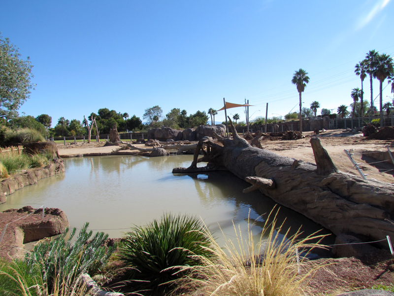 Expedition Tanzania - African Bush Elephant Enclosure