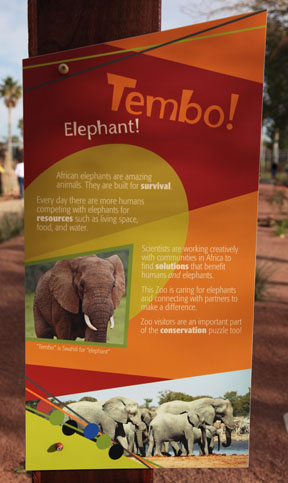 Expedition Tanzania - March 24, 2012