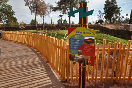 Expedition Tanzania - March 24, 2012