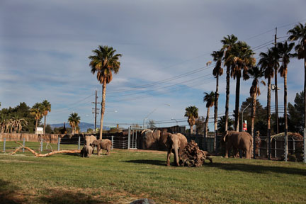 Expedition Tanzania - March 24, 2012