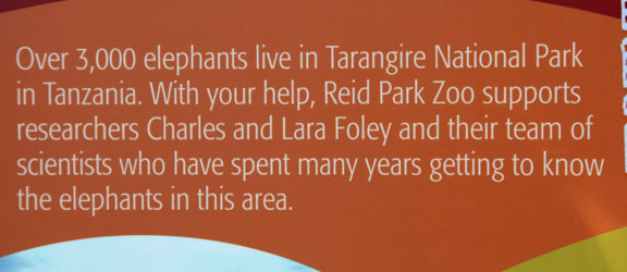 Expedition Tanzania - March 24, 2012