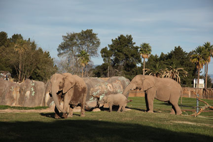 Expedition Tanzania - March 24, 2012