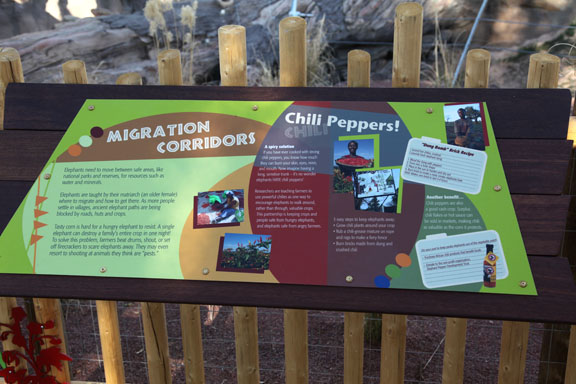 Expedition Tanzania - March 24, 2012