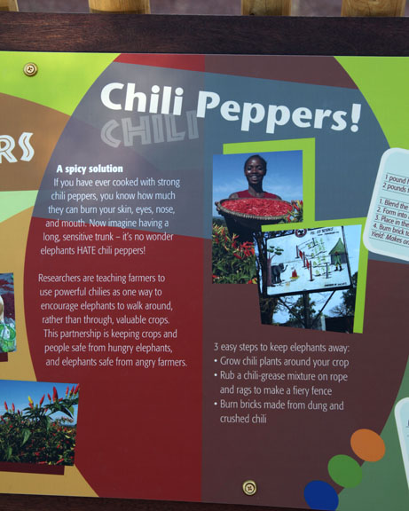 Expedition Tanzania - March 24, 2012