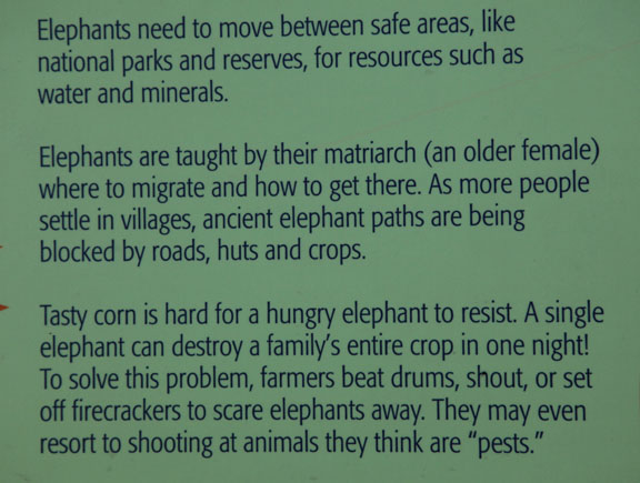 Expedition Tanzania - March 24, 2012