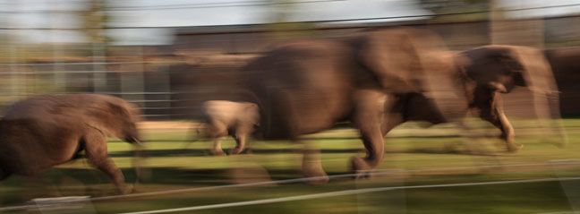 Expedition Tanzania - March 24, 2012