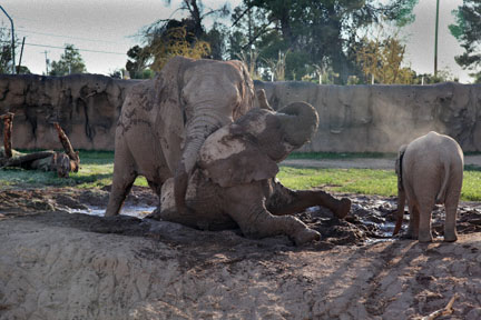 Expedition Tanzania - March 24, 2012