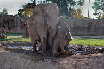 Expedition Tanzania - March 24, 2012