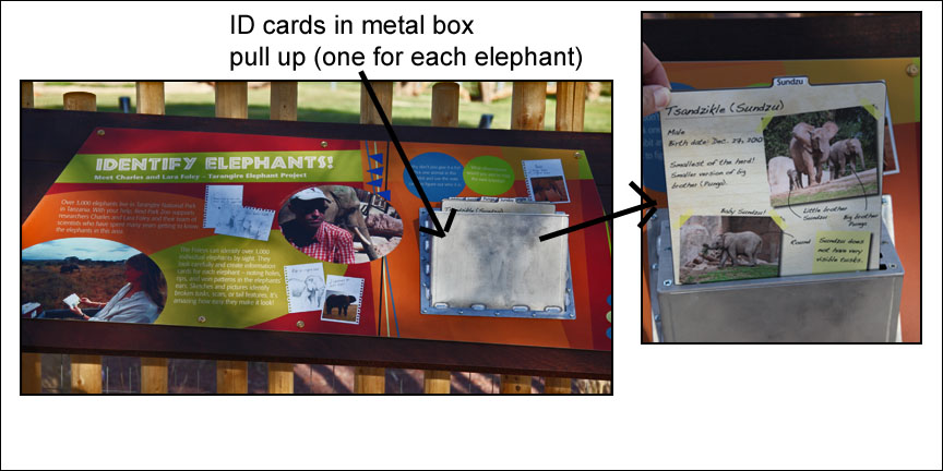 Expedition Tanzania - March 24, 2012