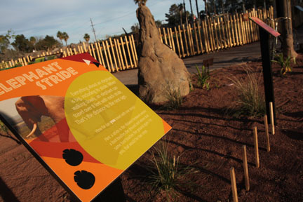 Expedition Tanzania - March 24, 2012