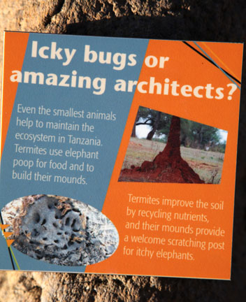 Expedition Tanzania - March 24, 2012