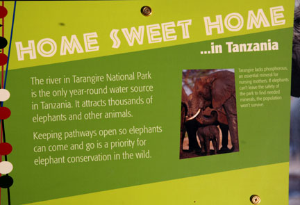 Expedition Tanzania - March 24, 2012