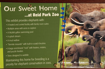 Expedition Tanzania - March 24, 2012