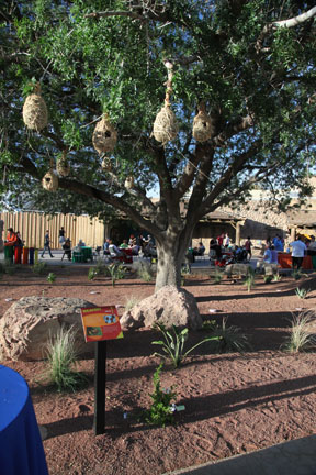 Expedition Tanzania - March 24, 2012