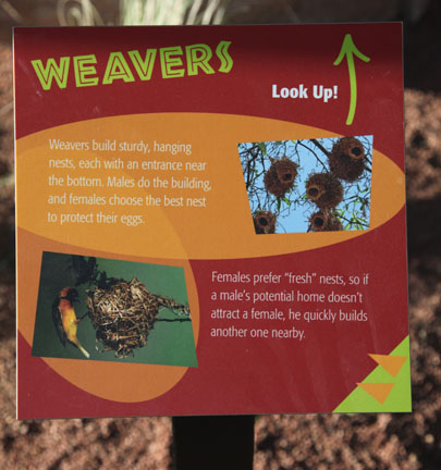 Expedition Tanzania - March 24, 2012