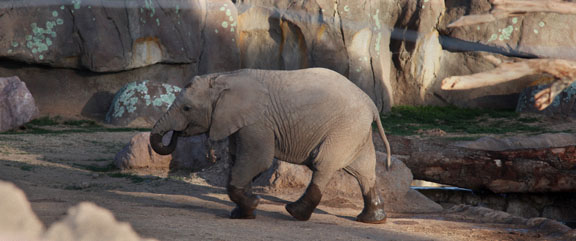 Expedition Tanzania - March 24, 2012