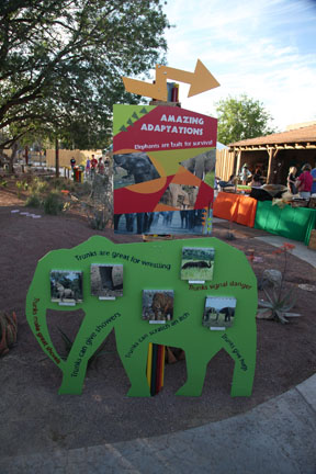 Expedition Tanzania - March 24, 2012